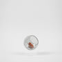 Standing Plant Bubble Amber //